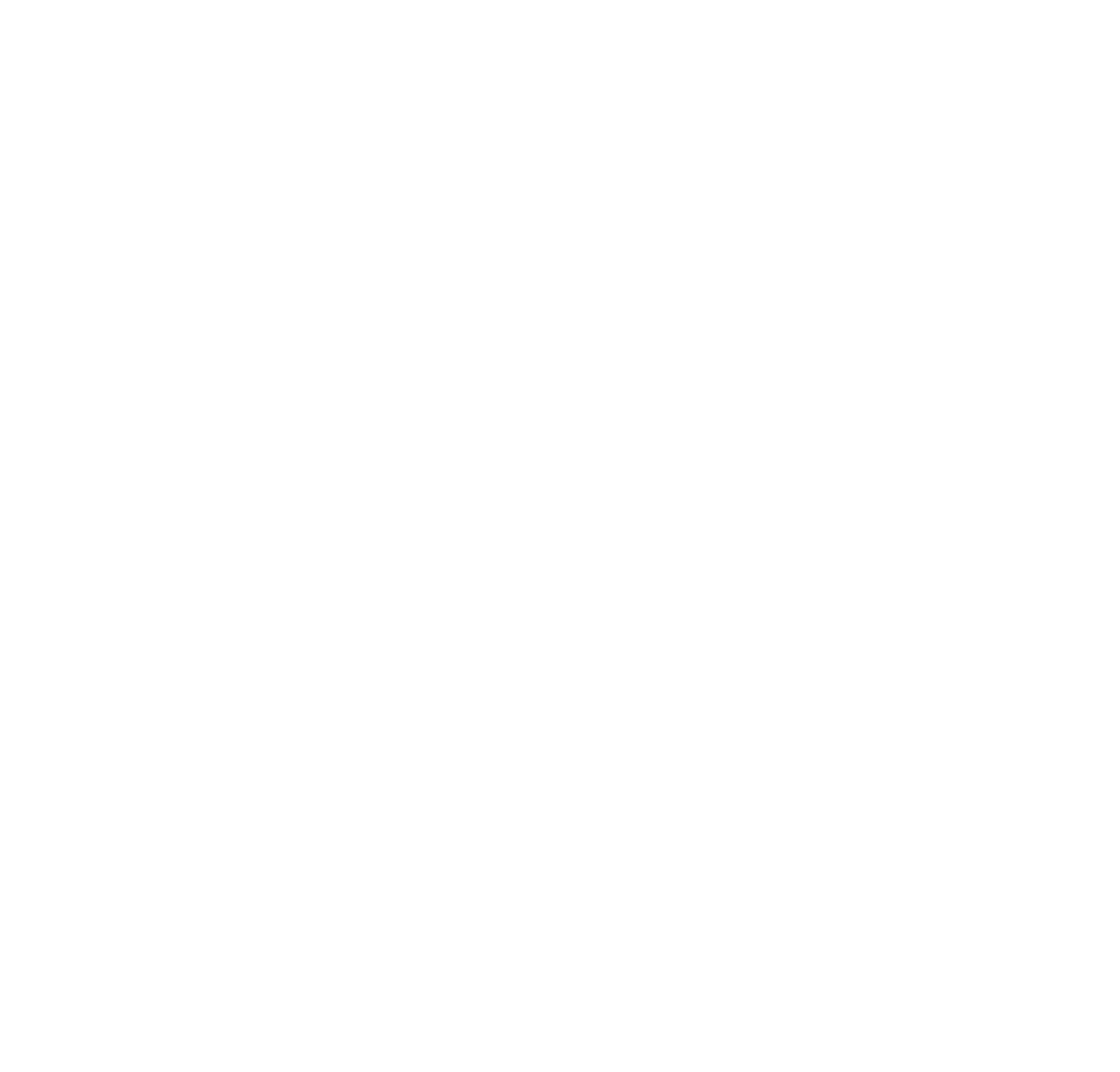 Nervo logo