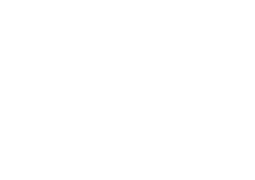 Paim logo